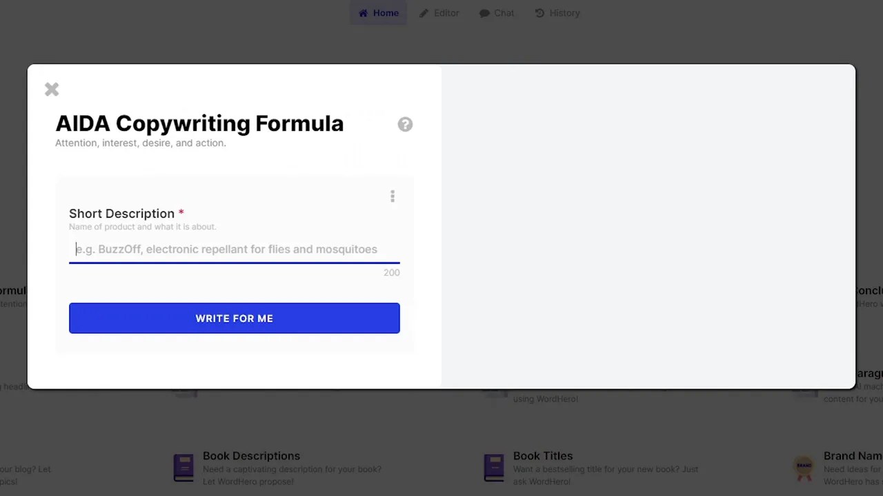 WORDHERO AIDA copywriting input screen